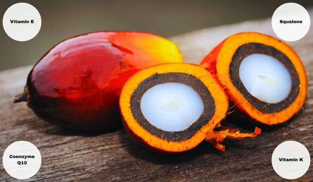 Alpha Palm Vitamin Nutritional Contents And Health Benefits