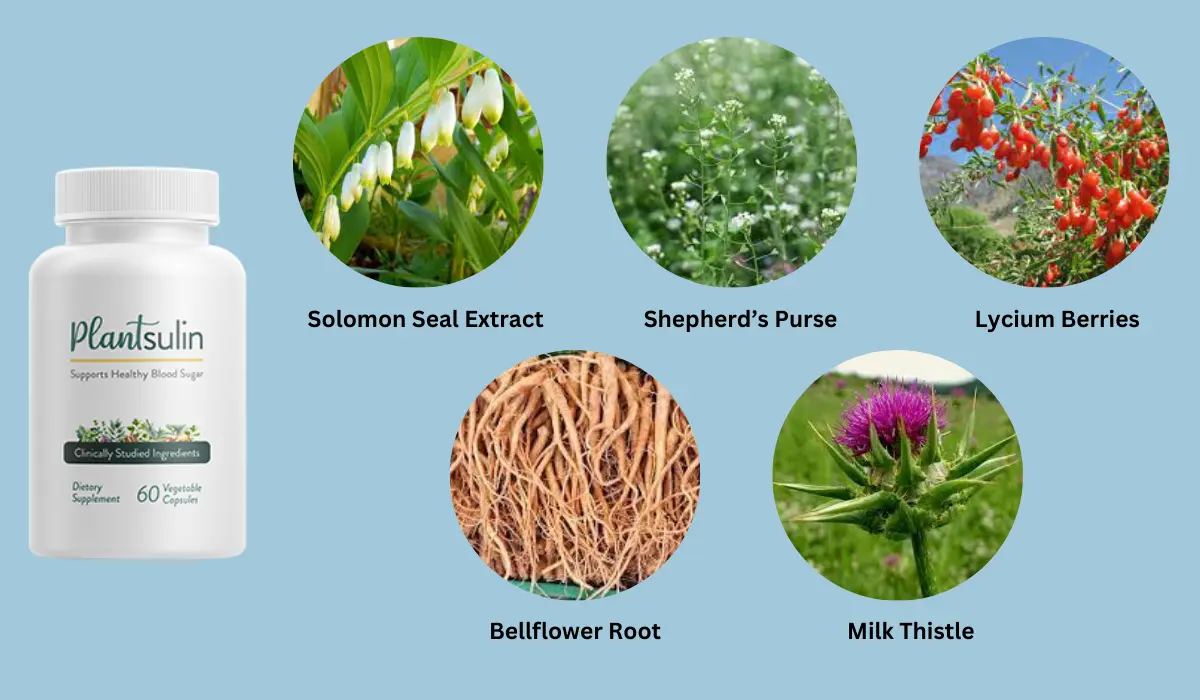 Plantsulin Ingredients