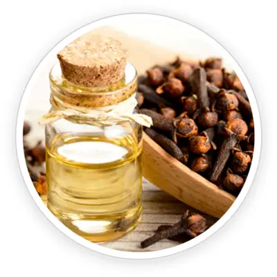 Clove Bud Oil