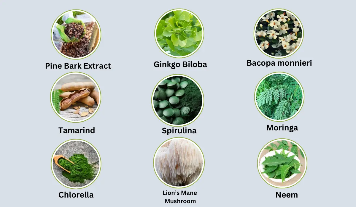 Ingredients Of Pineal Guard