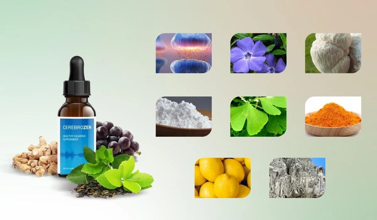 CerebroZen Ingredients