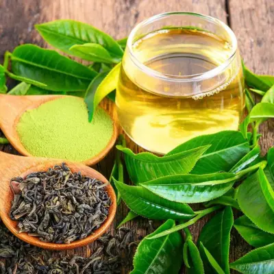 Green Tea Extract