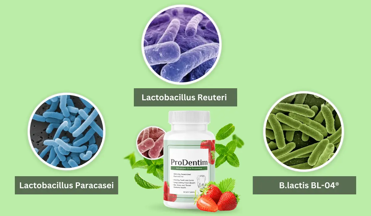 Ingredients Used In ProDentim Formulation