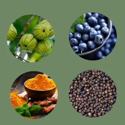 Other Ingredients of LipoSlpim Premium
