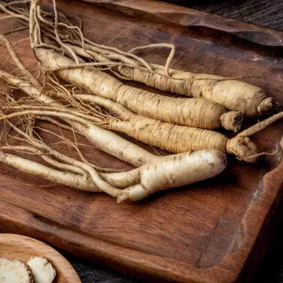 Panax Ginseng