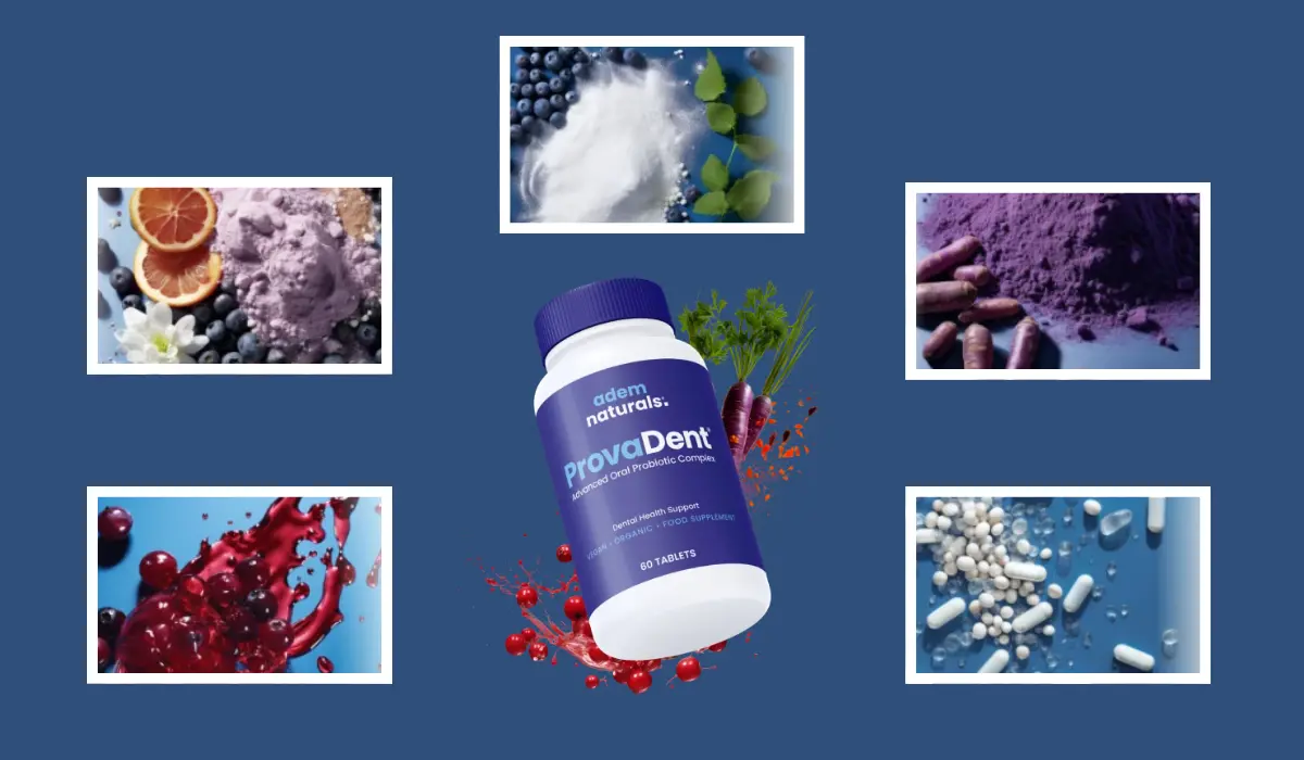 ProvaDent Ingredients