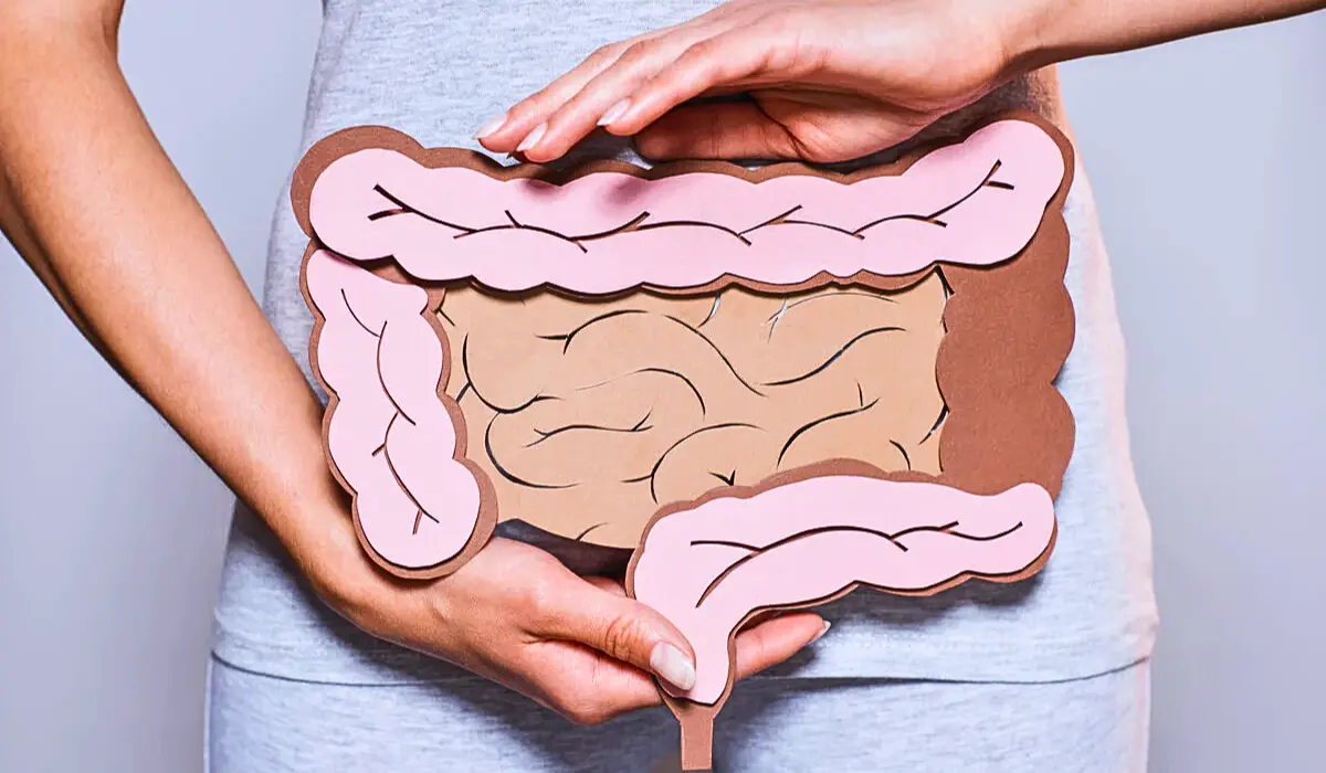 moderate stool in the colon
